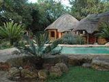 Zion Wild Loge