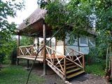 Ishasha Jungle Loge