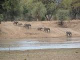 Thornicroft  Lodge, South Luangwa - Zambia