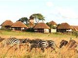 Apoka Safari Loge