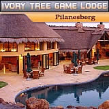 Ivory Tree Wild Loge