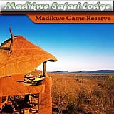 Madikwe Safari Loge
