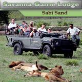 Savanna 