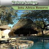 Zebra Kalahari Loge - Intu Africa Wildreservat