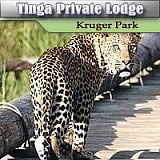 Tinga Private Game Lodge