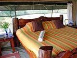 Offbeat Mara Camp