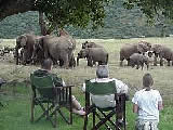 Gorah Elephant Camp