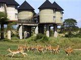 Sarova Salt Lick Wild Loge