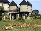 Sarova Salt Lick Wildloge