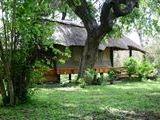 Selous Serena Camp