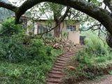 Magoebaskloof Birders' Cottages