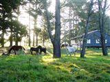 Angels Rest Farm