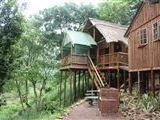 Treehouse Rivier Loge