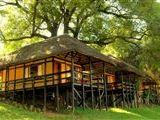 Bosbok Lodge
