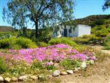 Skilpadkloof Farm Cottages