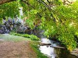 Arbour Gardens