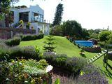 Lavender Holiday House
