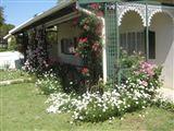 Green Door Guest Cottage - Loop Street