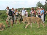 Tshukudu Safaris - Marula Camp