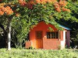 Bushbaby Lodge en Kampeerplek