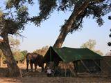 Tailormade Safaris- Hwange