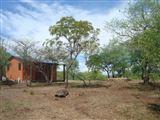 Baobab Camp Site