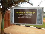 Gorilla African Gastenhuis
