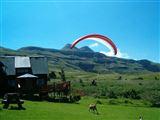 Wild Sky Lodge