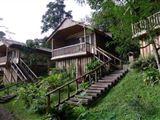 Buhoma Lodge
