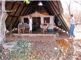 Musango Safari Camp