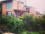 Palmgrove