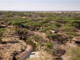 Mbono Tented Camp