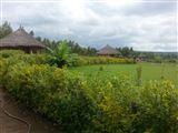 The Great Circle Loge