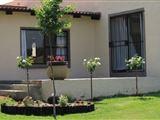 Ibis Nest Guest 
