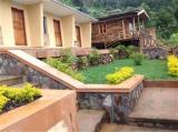 Bunyonyi View Gorilla Packers