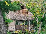 Chole Mjini Loge