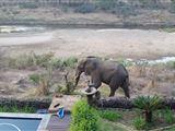 Hennie's Rest 