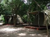 Narina Rustic Bush Camp Addo Elephant National Park SANParks