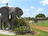 Toeka Unterkunft, Restaurant und Predator Park