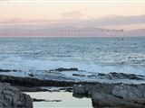 Hermanus Whale View Selfsorg