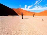 14 Night Splendid Desert of Namibia Package