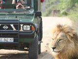 4 Night Kruger Park Safari and Activities Tour