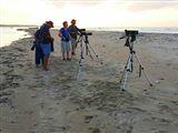 6 Night Birding en Photographic Tour