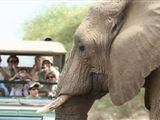 6 Night Kruger Park and Mozambique Safari Tour