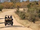 3 Day Kruger Experience -Treehouse