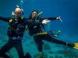 5 Night, 6 Day PADI Diving Course Package