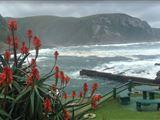 2 Nights at Storms Rivier Mouth Rest Camp Garden Route National Park SANParks
