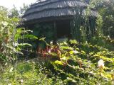 Cuckooland Tented Lodge