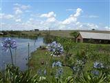 Ntibane Bushveld Hideaway