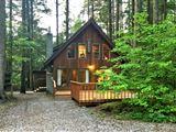 Snowline Cabin #35
